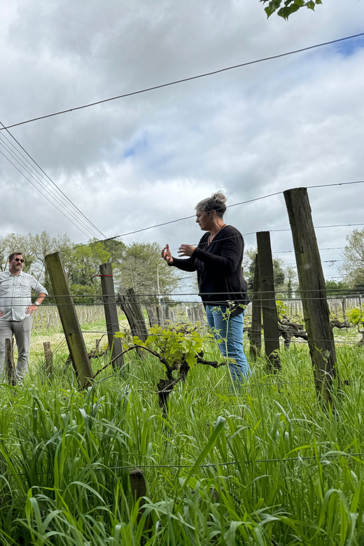 Bordeaux Backcountry E-Bike Tour with Lunch & Wine Tasting - What the $153 price includes