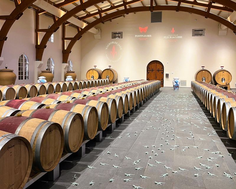 Bordeaux: St-Emilion Vineyards e-Bike Tour with Wine & Lunch - The second château and the winemaking story