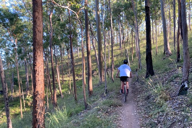 Brisbane Electric Mountain Bike Experience Tour - Stopping at Mount Coot-Tha Summit Lookout