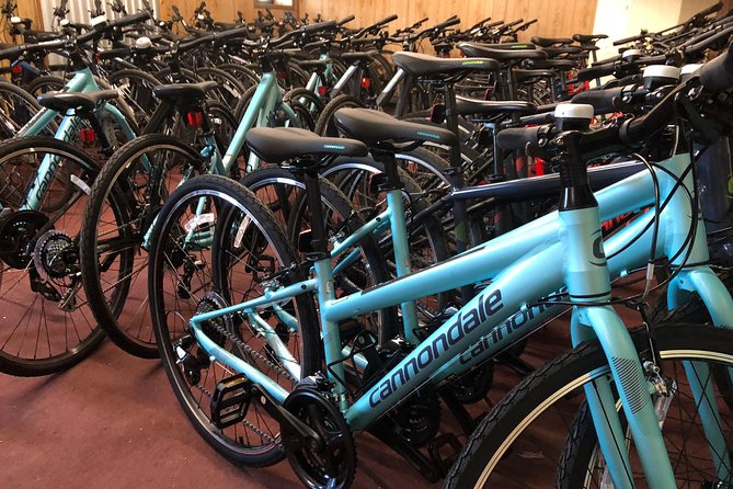 Brooklyn Neighborhoods Small-Group Bike Tour - Brownstones, courthouses, and old Brooklyn streets