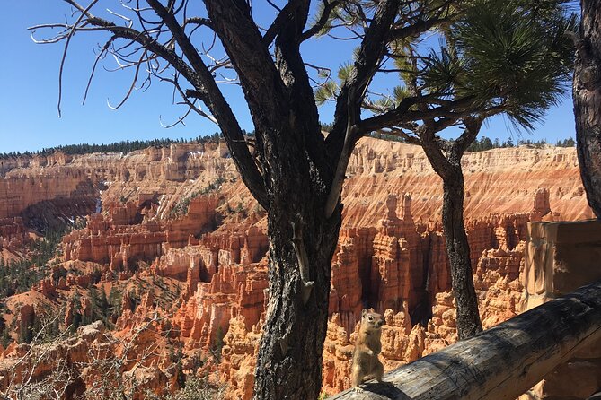 Bryce Canyon E-bike Tour - Bryce Amphitheater and the famous hoodoos