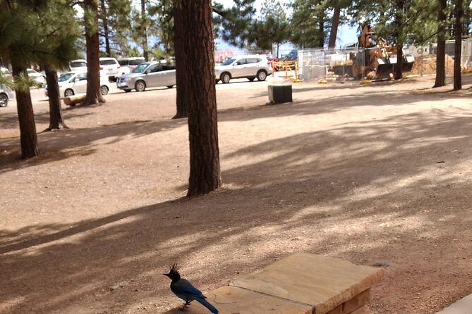 Bryce Canyon E-bike Tour - The first 15 minutes: getting comfortable on the bike