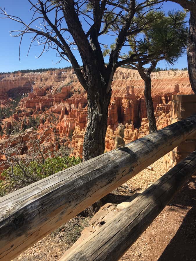 Bryce Canyon National Park: Guided E-Bike Tour - Reaching Inspiration Point without the parking shuffle