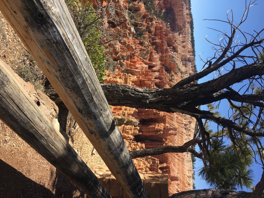 Bryce Canyon National Park: Guided E-Bike Tour - What the guides add to the ride