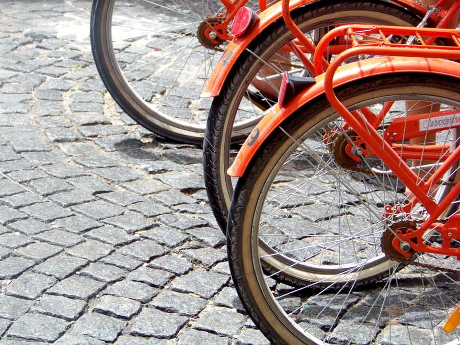 Buenos Aires Bike Tour: South or North Circuit - Palermo Woods and the city’s major parks