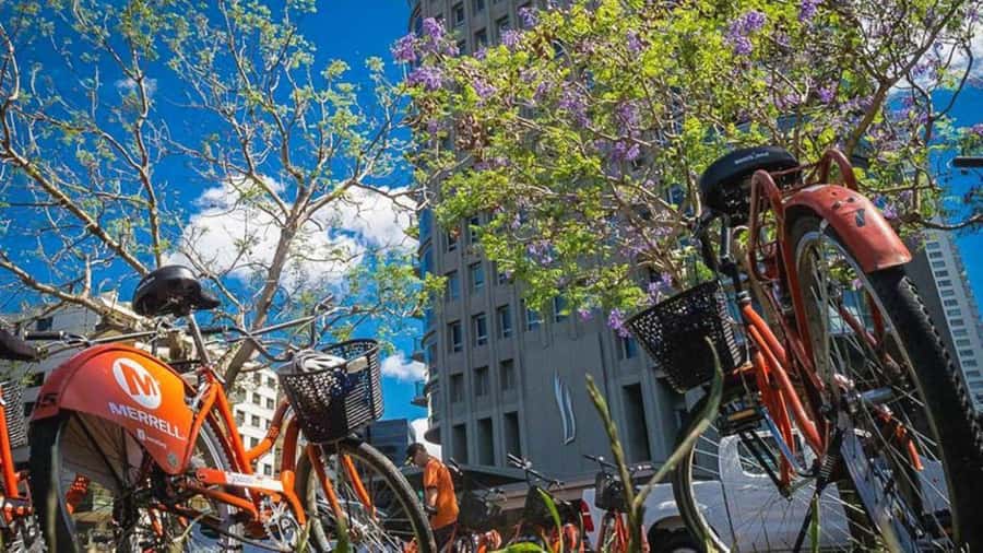 Buenos Aires Bike Tour: South or North Circuit - Plaza de Mayo and the center of national life