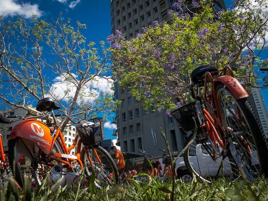 Buenos Aires Bike Tour: South or North Circuit - Getting rolling in San Telmo