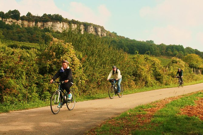 Burgundy Bike Tour with Wine Tasting from Beaune - Why Burgundy works so well by bike