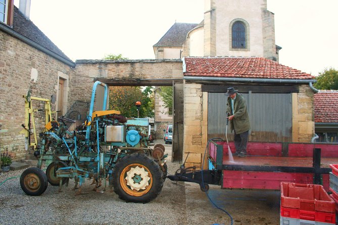 Burgundy Bike Tour with Wine Tasting from Beaune - The afternoon tasting around Pommard