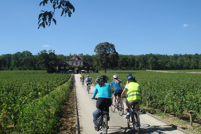 Burgundy Bike Tour with Wine Tasting from Beaune - Is the e-bike worth the extra cost?