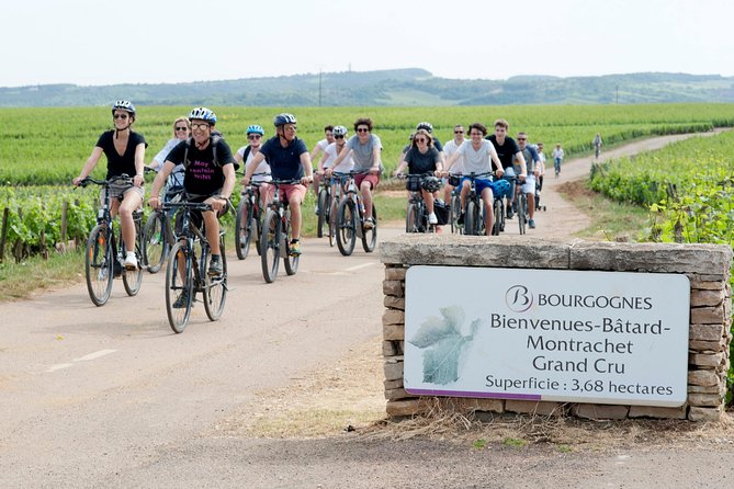 Burgundy Bike Tour with Wine Tasting from Beaune - What the $253.95 price covers