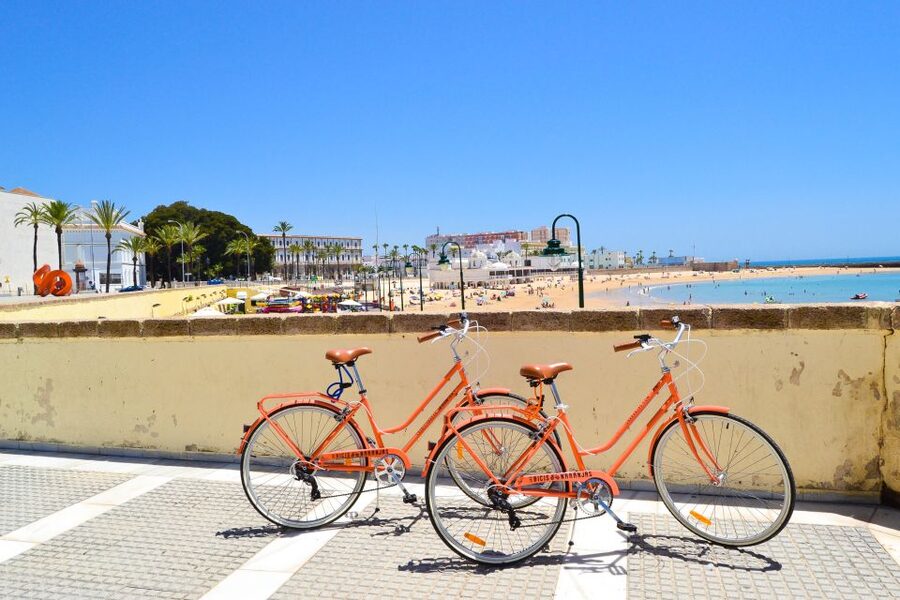 Cadiz: City Bike Tour - Who will enjoy this ride most