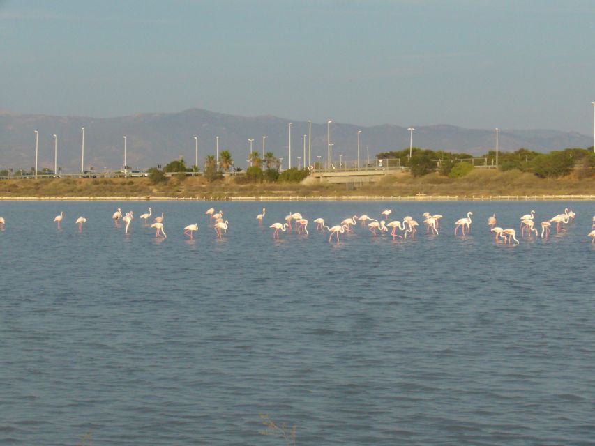 Cagliari: Bike Tour in the Flamingo Oasis - The Basilica of Bonaria and its wide staircase