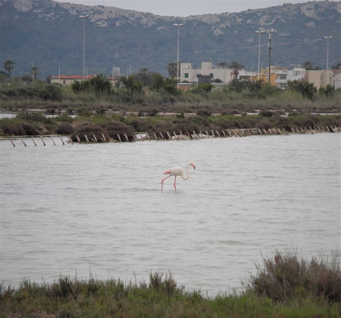 Cagliari: Bike Tour in the Flamingo Oasis - The viewpoint: a final pause for photographs