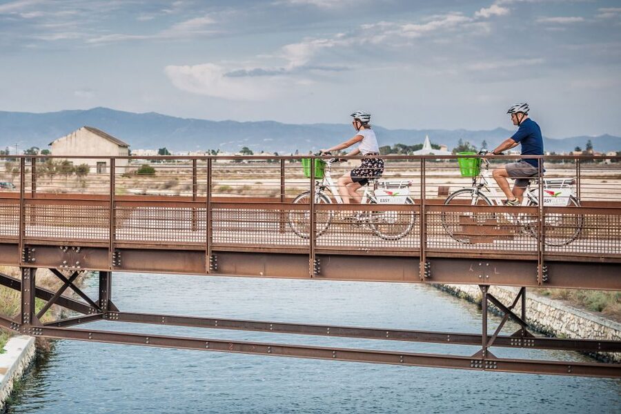 Cagliari E-Bike Tour: Canals & Flamingos at Molentargius - Key points to know before you book