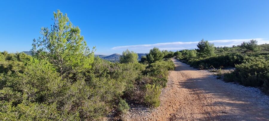 Calanques National Park: E-Mountain Bike with Virtual Guide - Cap Canaille and the big coastal view