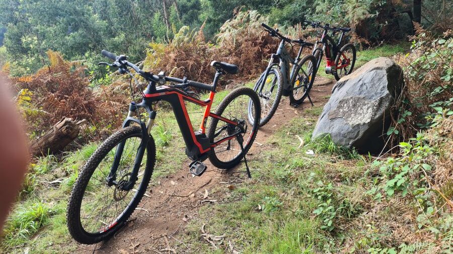 Camacha: Levada Trail e-Bike Guided Tour - Why Camacha is a good starting point