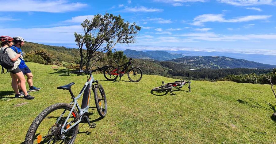 Camacha: Levada Trail e-Bike Guided Tour - The first 90 minutes: levadas, bridges, and forest