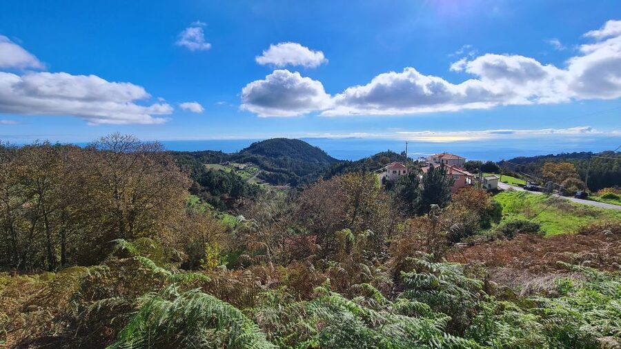 Camacha: Levada Trail e-Bike Guided Tour - Getting there by included hotel transfer