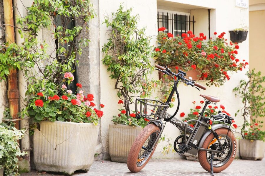 Cannes 2-Hour E-bike Tour - Small streets, viewpoints, and the city between