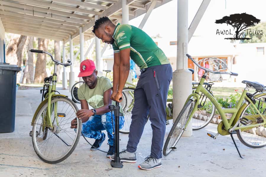 Cape Town: Cultural Cycling Tour - Price, Purpose, and What You Receive for $106