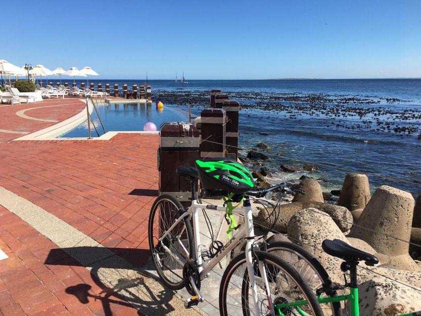 Cape Town Guided City Cycling Heritage Tour - Private Tour - What the guide adds to the ride