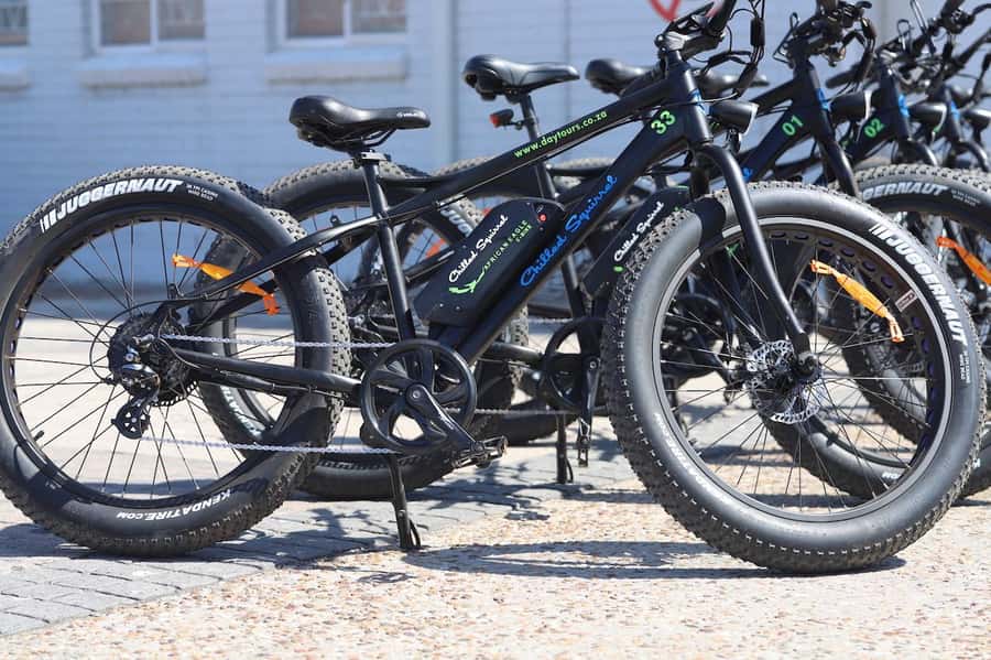 Cape Town: Half-Day e-Bike City Tour - Bo-Kaap, the South African Museum, and the city’s past