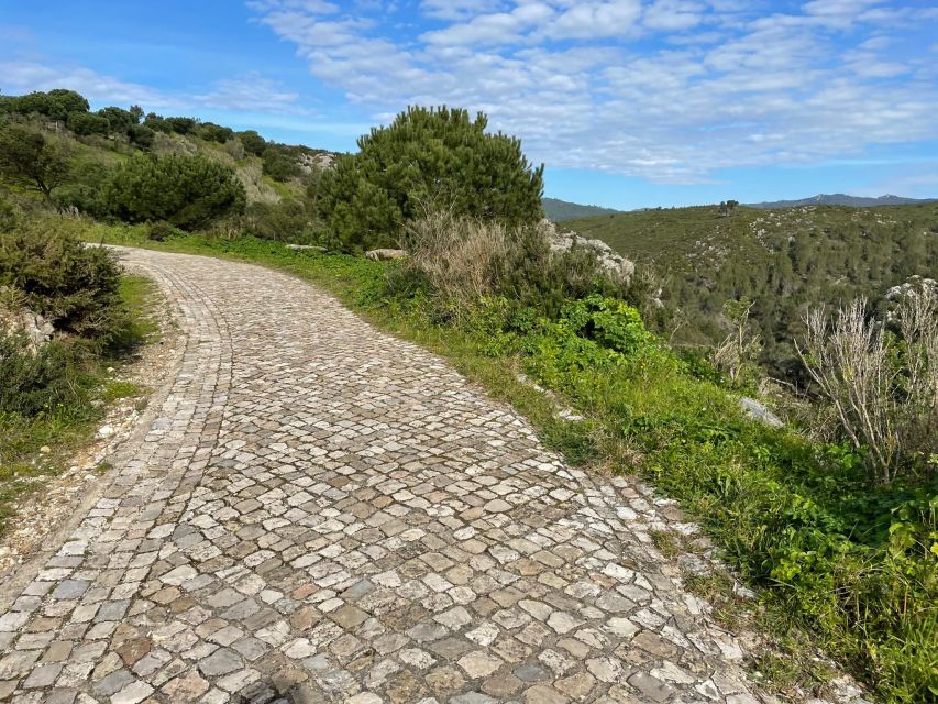 Cascais-Sintra E-bike Tour: Coast & Countryside Adventure - Who should book this four-hour ride?