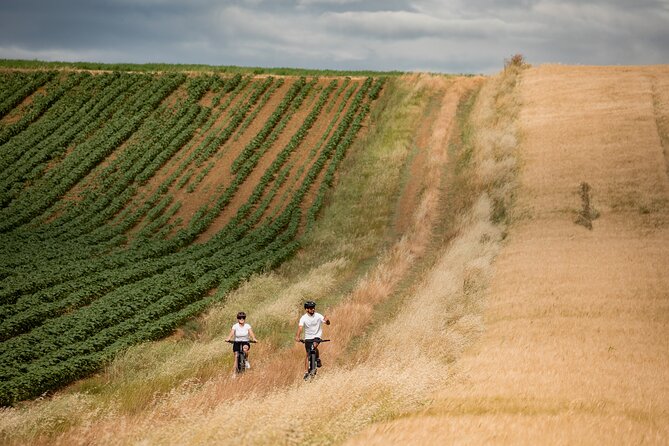 Castiglion Fiorentino - eBike tour in the tuscan countryside - Family use, fitness, and riding ability