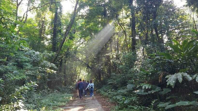 Cat Ba: National Park Day Trip with Cycling and Kayaking - Lunch and Village Life in Viet Hai