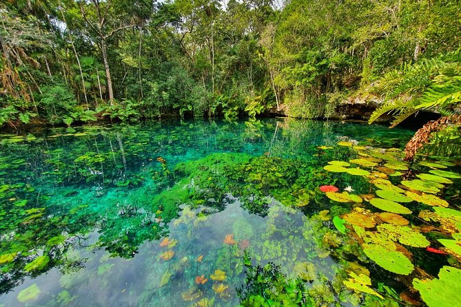 Cenotes trail jungle bike tour in Tulum with lunch - Lunch is more than a quick meal stop