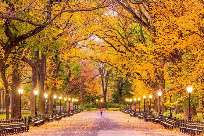 Central Park NYC Highlights Small-Group Bike Tour - Key points to know before you book