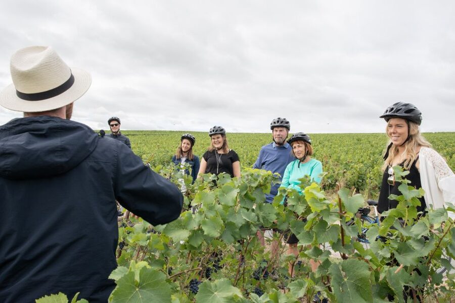 Champagne: E-Bike Champagne Day Tour with Tastings and Lunch - Should you book it?