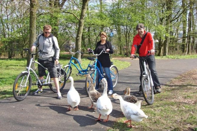 Cheese, Canals & Windmill Countryside E-Bike Tour Amsterdam - Ransdorp’s church, tower, and low country views