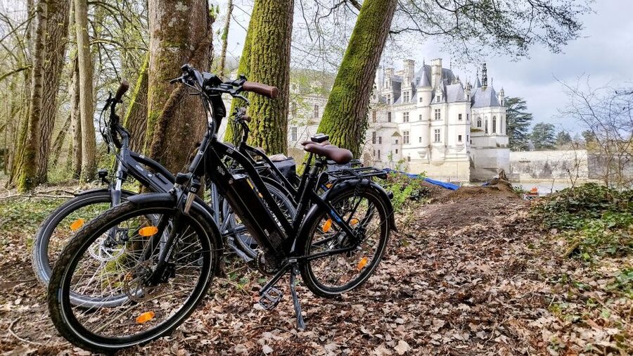 Chenonceau: E-Bike Guided Tour & Gourmet Picnic Lunch - Group size, timing, and practical value