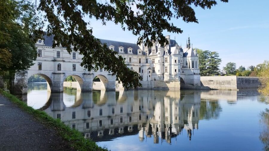 Chenonceau: E-Bike Guided Tour & Gourmet Picnic Lunch - A local lunch beneath the trees