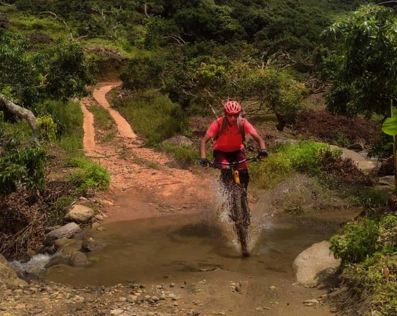 Chiang Mai: 20km Downhill Mountain Biking Challenge Suthep M - Key points before you book