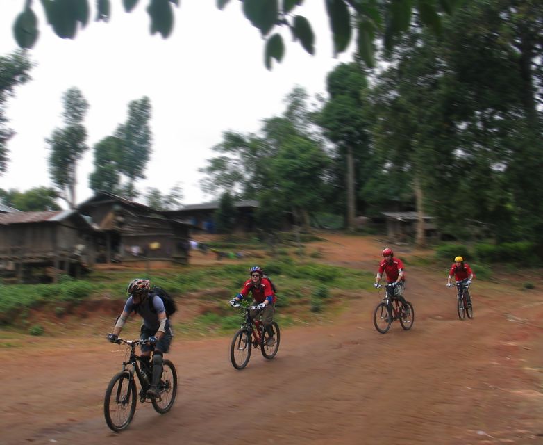 Chiang Mai: 20km Downhill Mountain Biking Challenge Suthep M - The support that makes the $60 price fair