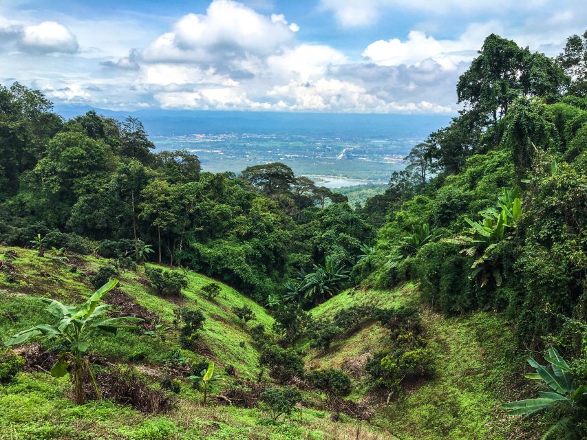 Chiang Mai: 20km Downhill Mountain Biking Challenge Suthep M - How hard is the ride?