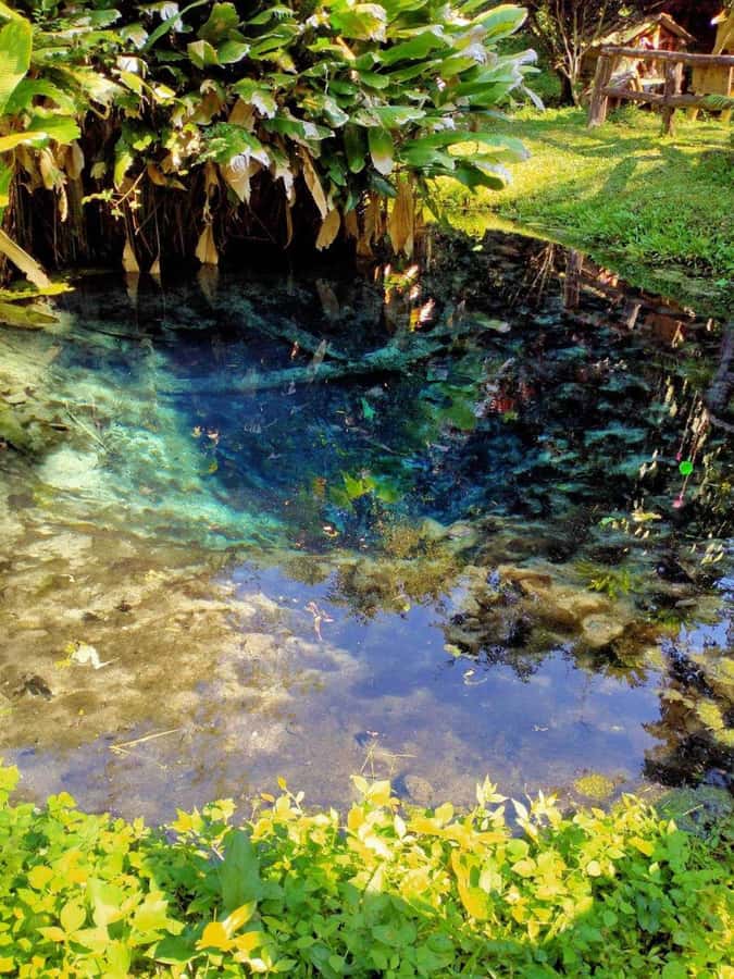 Chiang Mai: 22 km XC Mountain Biking from Sticky Waterfall - The $65 Question: Is the Price Fair?