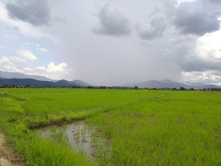 Chiang Mai: 25km Leisure Mountain Biking & Jungle Kayaking - Kayaking into the Mae Taeng Forest Reserve