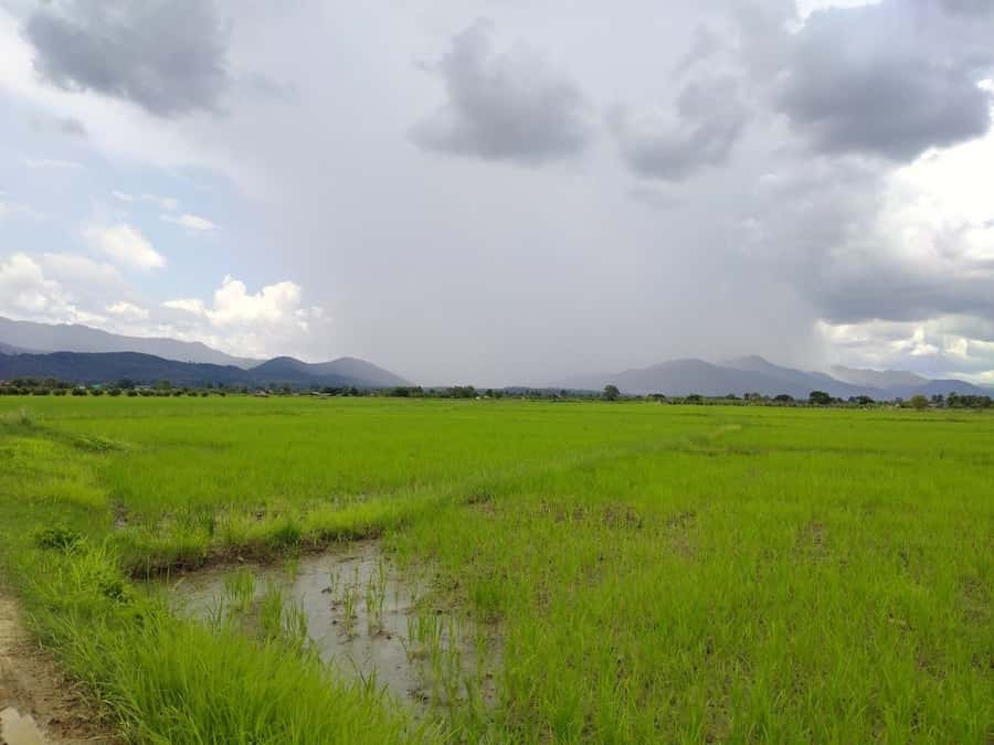 Chiang Mai: 25km Leisure Mountain Biking & Jungle Kayaking - Who should book this bike and kayak trip