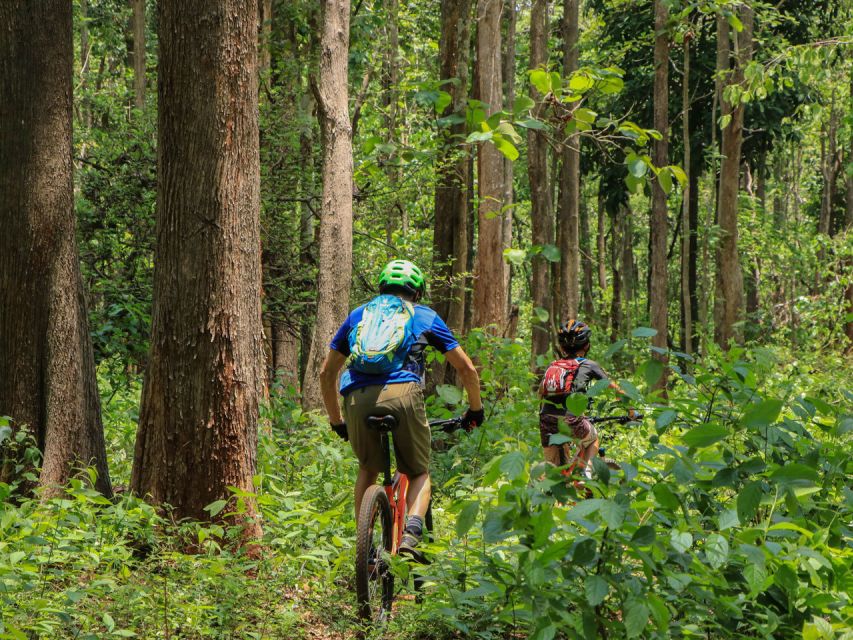 Chiang Mai: Boat Ride and Cycling Tour to Sticky Waterfall - Why the boat ride is more than a transfer