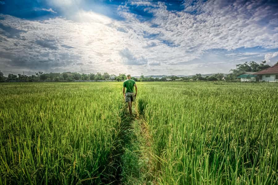 Chiang Mai: Countryside Adventure by Bike - Forest lanes below Doi Suthep