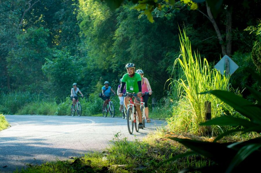 Chiang Mai Countryside E-bike Ride with Expert Guide & Lunch - How demanding is the cycling?