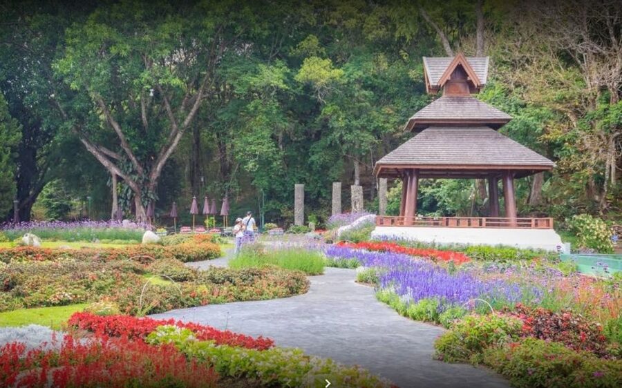 Chiang Mai: Doi Suthep National Park Leisure Hiking & Biking - Who should book this outing