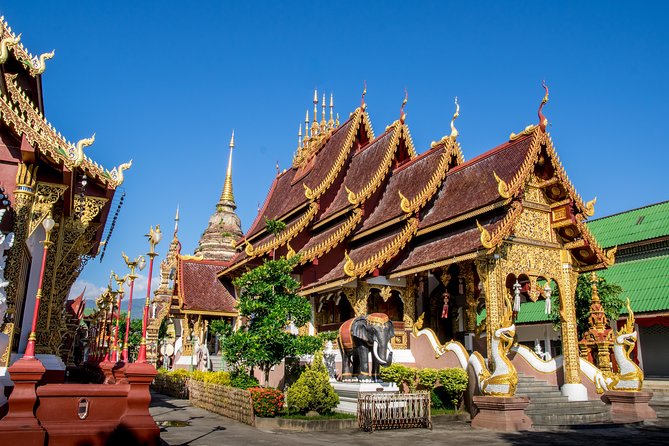 Chiang Mai: Historic Old City Bike Tour - Morning or Night - Bikes, comfort, and family details