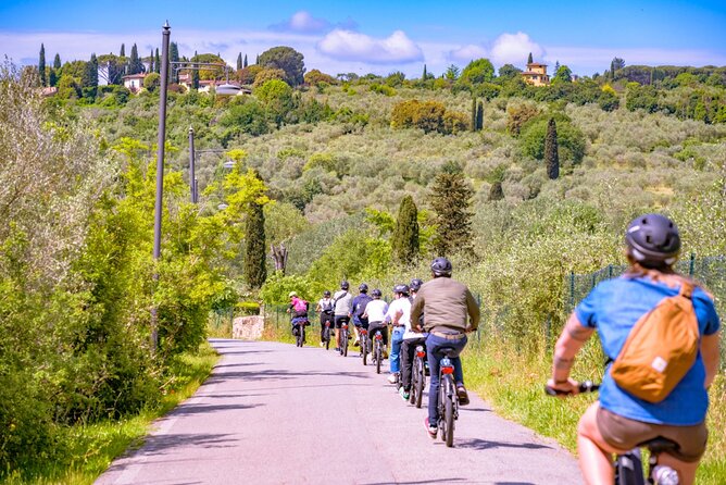 Chianti Hills E-Bike Tour with Tuscan Lunch & Two Wine Tastings - A local winery and Chianti Classico