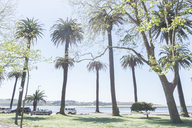 City Bike Rental in Porto - What the $21.72 price includes