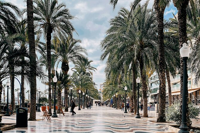 City Bike Tour in Alicante - Key points to know before you book